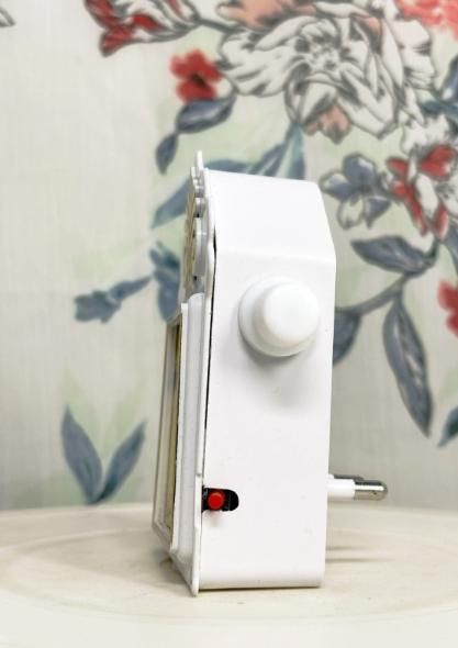 5 in 1 Mantra Device™ | Shri Premanand Ji Voice